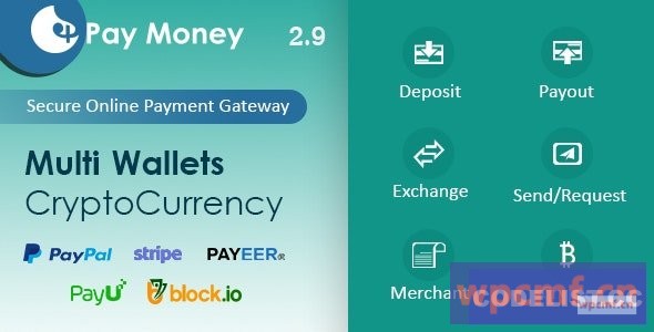 PayMoney v2.9 安全在线支付网关  可代汉化
