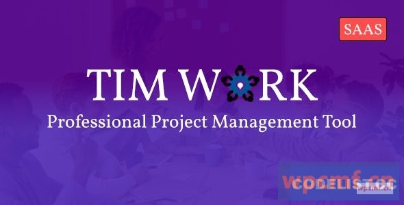 TimWork SaaS v1.0 项目管理工具 可代汉化