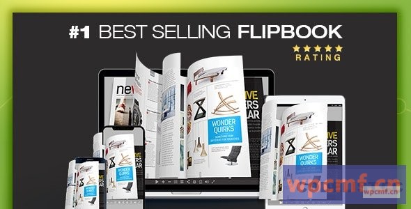 Real3D FlipBook v3.17 查询插件 可代汉化