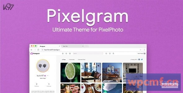 Pixelgram v1.4.1 终极PixelPhoto主题 可代汉化
