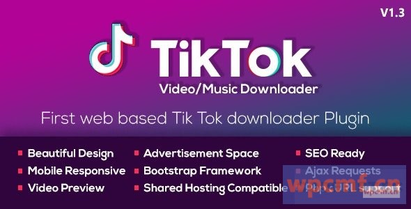 TikTok无水印视频和音乐下载器v1.2 可代汉化