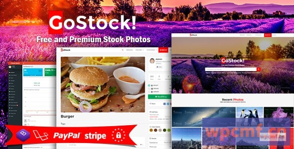 GoStock v3.3 免费和高级库存照片脚本 可代汉化