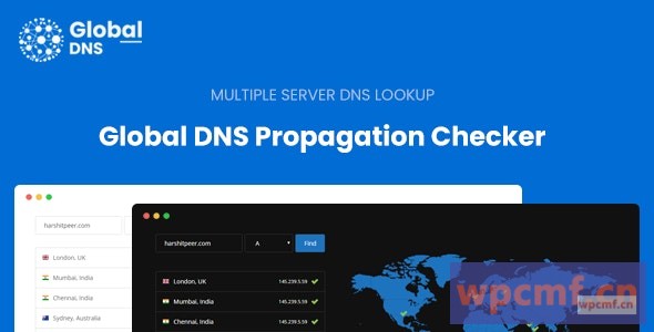 全局DNS v1.0 多服务器 DNS传播检查器 可代汉化