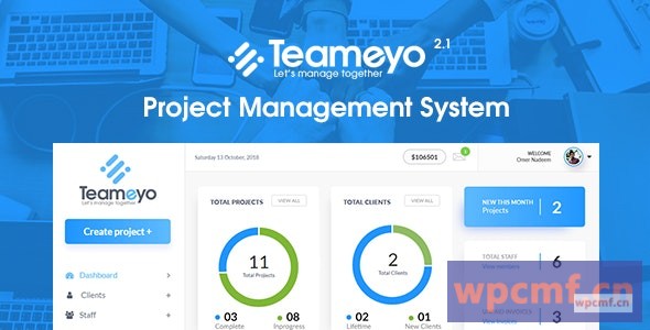 项目管理系统 可代汉化