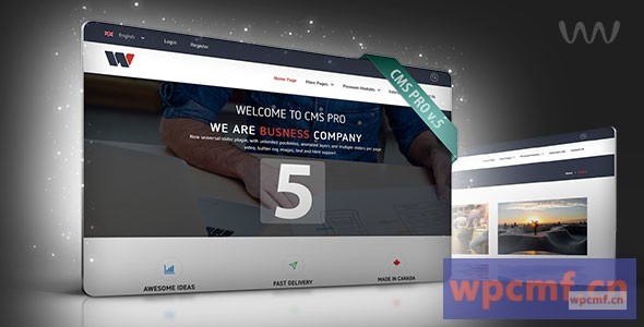 CMS pro v5.20 内容管理系统 可代汉化