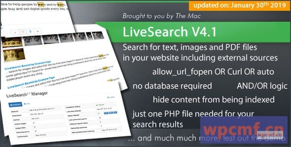 实时搜索v4.1 您网站的搜索引擎 可代汉化