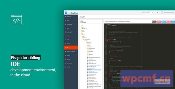 IDE 用于iBilling的插件 可代汉化