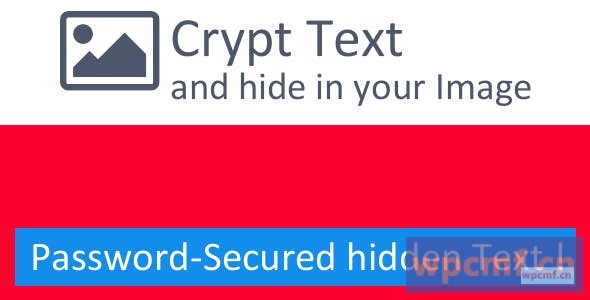 文本加密 隐藏图像内的文本 可代汉化
