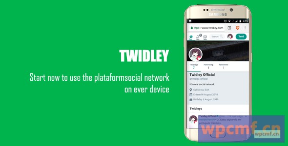 Twidley V2.0.1     Pro社交网络    可代汉化