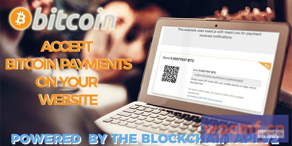 区块链比特币支付 可代汉化