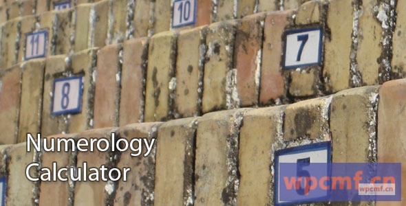 命理计算器 可代汉化