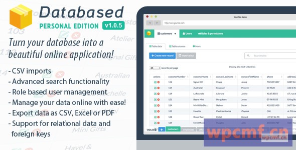 DataBased v1.0.6    个人版 可代汉化