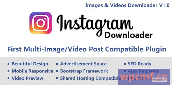 带有Ajax的Instagram视频/图像下载器 (多内容) 可代汉化