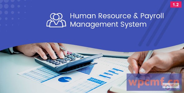 人力资源和薪资管理系统 可代汉化