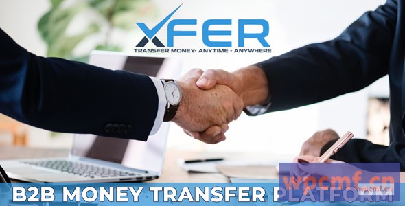 WePay B2B汇款平台 可代汉化