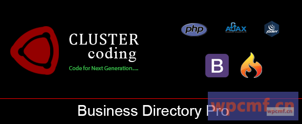 商业目录专业版 可代汉化