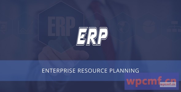 企业资源规划 业务资源规划管理 可代汉化