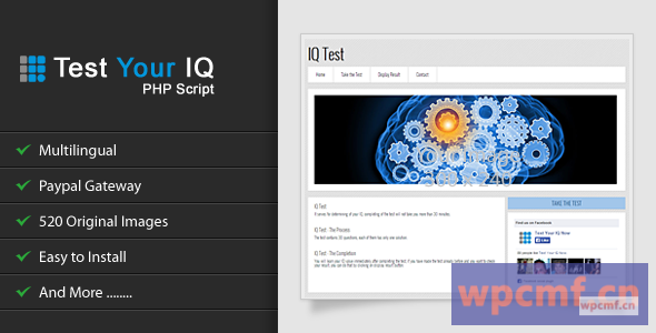 测试您的IQ v1.1 可代汉化