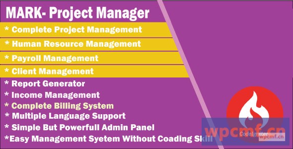 标记 项目经理 可代汉化