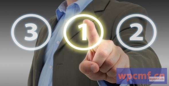 支付在线调查管理 可代汉化