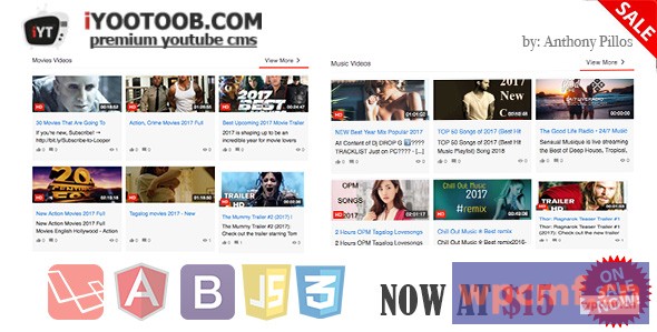 iYOOTOOB 高级YOUTUBE CMS 可代汉化