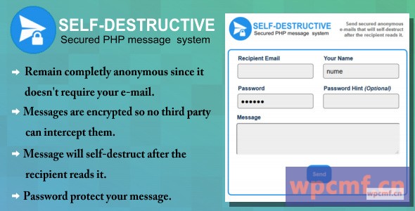 自毁电子邮件信息系统 可代汉化