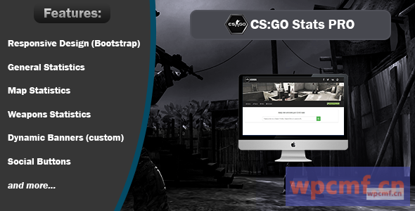 CS:GO统计专业 可代汉化