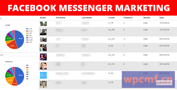 脸书信使营销 可代汉化