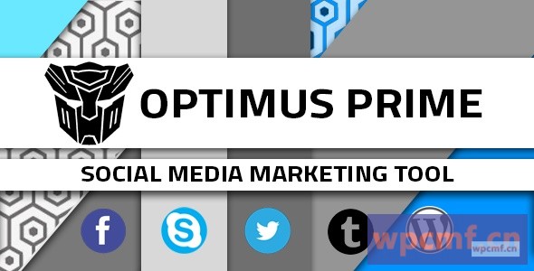 社交媒体营销工具 可代汉化