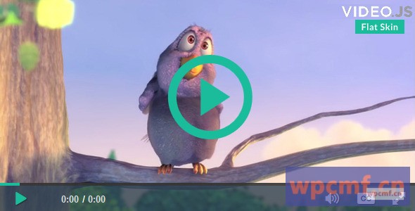 用于videoJS 4的平坦皮肤视网膜 可代汉化