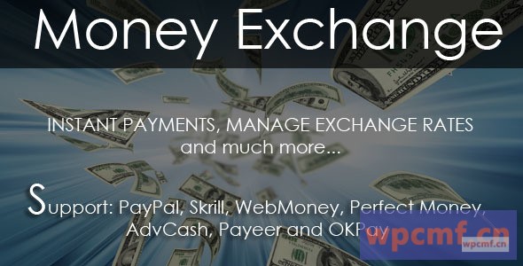 货币兑换脚本2.0 可代汉化