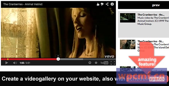 YouTube Vimeo视频库日程安排 可代汉化