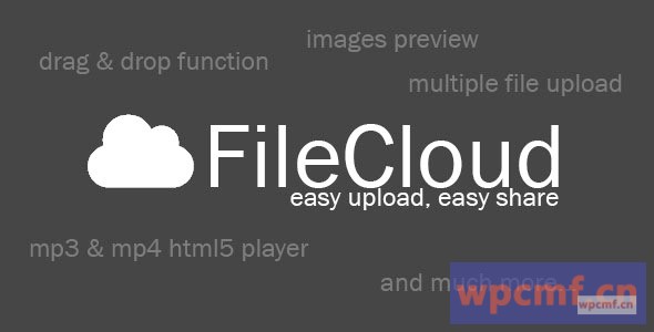 文件云 可代汉化