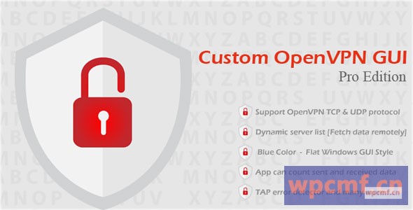 自定义OpenVPN GUI专业版 可代汉化