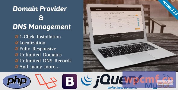 域提供商和DNS管理 可代汉化