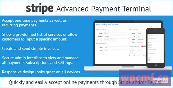 条纹高级支付终端 可代汉化