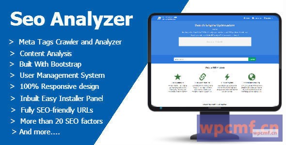 搜索引擎优化分析器 可代汉化