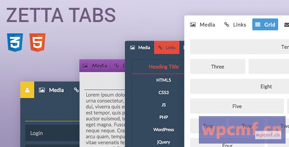 zetta标签 可代汉化