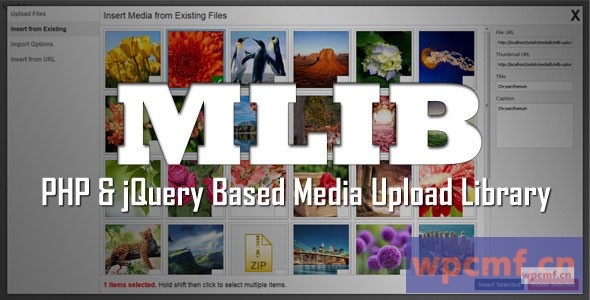 MLIB    基于PHP＆JQuery的媒体上传库 可代汉化