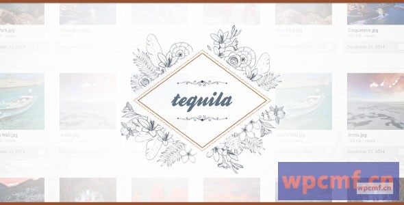 龙舌兰酒   文件托管脚本 可代汉化