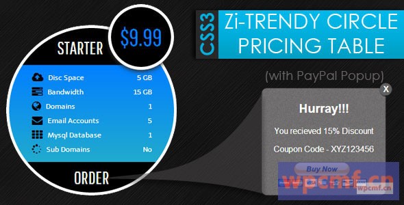 CSS3 Zi Trendy圈子定价表+ PayPal弹出窗口 可代汉化