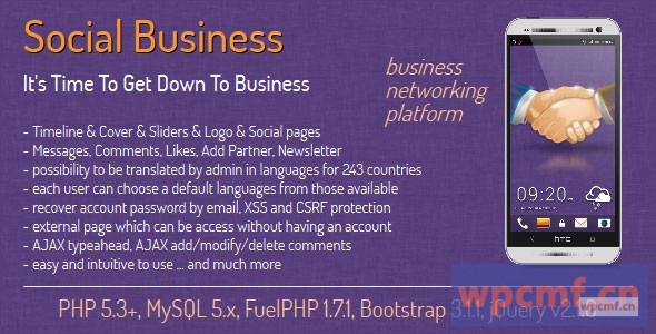 社交商务 社交商务网络 可代汉化