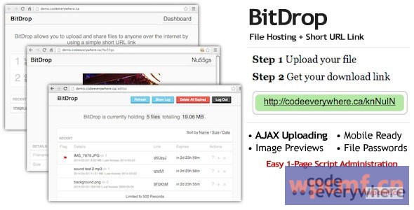 带短URL链接的BitDrop文件托管 可代汉化