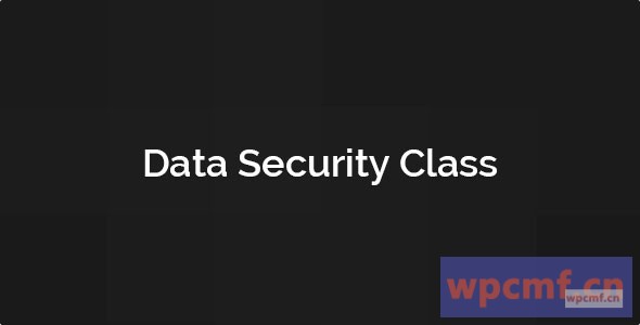 数据安全类 可代汉化