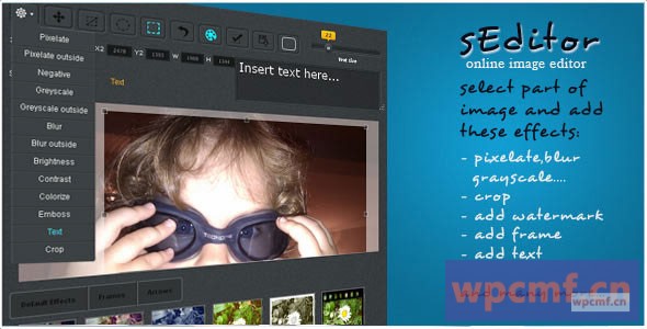 在线图像编辑器 可代汉化