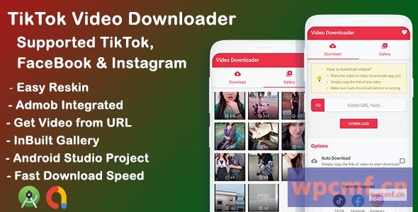 抖音、脸书、Instagram视频下载器1.0版 可代汉化
